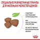 Royal Canin Mini Puppy сухой корм для щенков мелких пород 