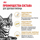 Royal Canin Bengal Adult сухой корм для бенгальских кошек