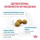 Royal Canin Hypoallergenic Small Dog сухой корм для собак до 10кг. при пищевой аллергии