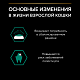 Pro Plan Maintenance влажный корм для взрослых кошек с уткой, соус