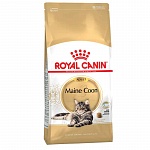 Royal Canin Maine Coon корм для кошек породы Мейн-Кун