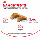 Royal Canin British Shorthair Kitten сухой корм для британских короткошерстных котят