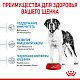 Royal Canin Giant Junior сухой корм для юниоров очень крупных пород