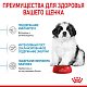 Royal Canin Giant Puppy сухой корм для щенков очень крупных пород