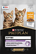 Pro Plan Healthy Start влажный корм для котят с курицей, желе