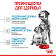 Royal Canin Medium Starter сухой корм для щенков средних пород до 2мес.