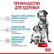 Royal Canin Medium Starter сухой корм для щенков средних пород до 2мес.