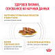 Royal Canin Urinary S/O Роял Канин влажный корм для кошек при МКБ, соус