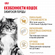 Royal Canin Siberian Adult сухой корм для сибирских кошек