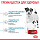 Royal Canin Mini Starter сухой корм для щенков мелких пород до 2 мес.