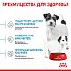 Royal Canin Mini Starter сухой корм для щенков мелких пород до 2 мес.