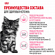 Royal Canin Maine Coon Kitten сухой корм для котят породы мейн-кун