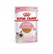 Royal Canin Kitten влажный корм для котят до 12 месяцев, желе