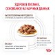 Royal Canin Gastrointestinal Роял Канин влажный корм для кошек при нарушении пищеварения, соус