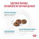 Royal Canin Skin & Coat сухой корм для взрослых кошек с чувствительной кожей