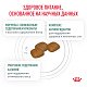 Royal Canin Diabetic сухой корм для собак при сахарном диабете