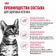 Royal Canin Kitten Sterilised сухой корм для стерилизованных котят до 12 месяцев