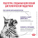 Royal Canin Neutered Balance Роял Канин влажный корм для стерилизованных кошек, склонных к набору веса, соус