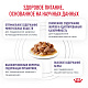 Royal Canin Neutered Balance Роял Канин влажный корм для стерилизованных кошек, склонных к набору веса, соус