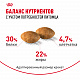 Royal Canin Persian Adult сухой корм для персидских кошек