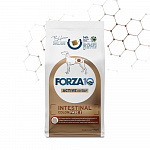 Forza10 Intestinal Colon Fase II сухой корм для взрослых собак для профилактики колитов и заболеваний желудочно-кишечного тракта