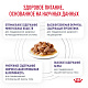 Royal Canin Neutered Maintenance Роял Канин влажный корм для стерилизованных кошек, соус