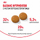 Royal Canin Siberian Adult сухой корм для сибирских кошек
