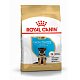 Royal Canin German Shepherd Puppy сухой корм для щенков породы немецкая овчарка