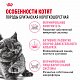 Royal Canin British Shorthair Kitten сухой корм для британских короткошерстных котят