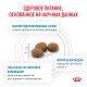 Royal Canin Hypoallergenic сухой корм для собак при пищевой аллергии