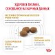 Royal Canin Urinary S/O Moderate Calorie сухой корм для кошек при МКБ
