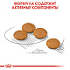 Royal Canin Mini Dermacomfort сухой корм для собак мелких пород с чувствительной кожей