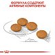 Royal Canin Mini Dermacomfort сухой корм для собак мелких пород с чувствительной кожей