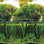 Laguna Фон 9084/9085, 0,5*15м "Зеленые холмы/Подводный лес", арт. 	74064068
