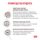 Royal Canin Gastrointestinal Moderate Calorie Роял Канин влажный корм для кошек при нарушении пищеварения, соус
