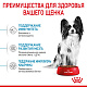 Royal Canin X-Small Puppy сухой корм для щенков мини пород