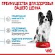 Royal Canin X-Small Puppy сухой корм для щенков мини пород