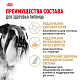 Royal Canin Miniature Schnauzer Adult сухой корм для взрослых собак породы миниатюрный шнауцер