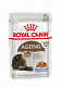 Royal Canin Ageing 12+ влажный корм для взрослых кошек старше 12 лет, желе