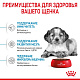 Royal Canin Medium Puppy сухой корм для щенков средних пород