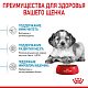 Royal Canin Medium Puppy сухой корм для щенков средних пород
