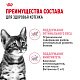 Royal Canin Kitten Sterilised влажный корм для стерилизованных котят, желе