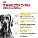Royal Canin Maxi Dermacomfort сухой корм для собак крупных пород с чувствительной кожей