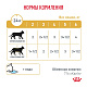 Royal Canin Urinary S/O Moderate Calorie Роял Канин влажный корм для кошек при МКБ, соус