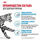 Royal Canin Indoor 7+ сухой корм для кошек от 7 лет, живущих в помещении