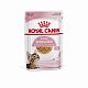 Royal Canin Kitten Sterilised влажный корм для стерилизованных котят, желе