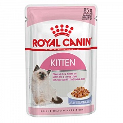 Royal Canin kitten влажный корм для котят от 4 до 12 месяцев, желе