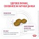 Royal Canin Renal сухой корм для собак для поддержания функции почек