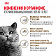 Royal Canin Ageing Sterilised 12+ сухой корм для стерилизованных кошек от 12 лет