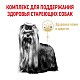 Royal Canin Yorkshire Terrier Adult 8+ сухой корм для взрослых собак породы йоркширский терьер от 8 лет